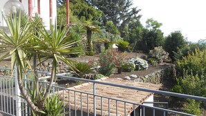 Ein Balkon mit Metallgeländer, Blumentöpfen und Blick auf einen Garten mit verschiedenen Bäumen und Sträuchern.