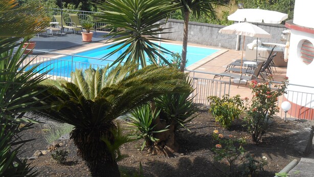 Ein Poolbereich mit klarem, blauem Pool, umgeben von Palmen und Topfpflanzen. Liegestühle und Sonnenschirme sind vorhanden.