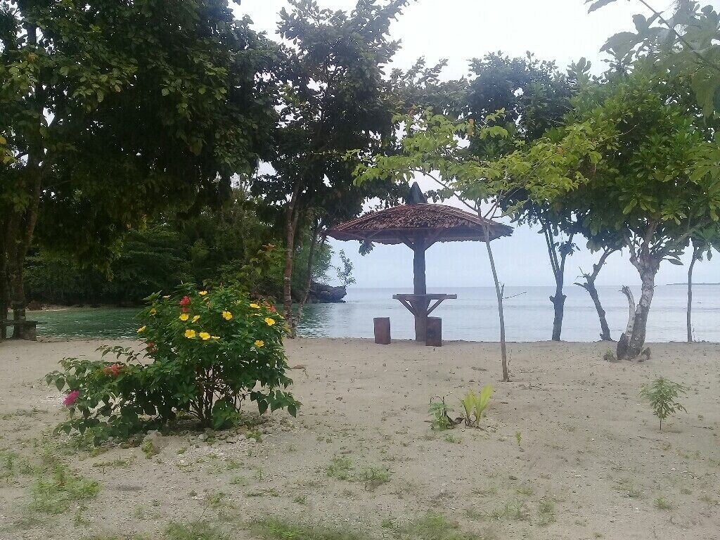 A beach with a wooden gazebo, trees, and a small bush with yellow flowers.
