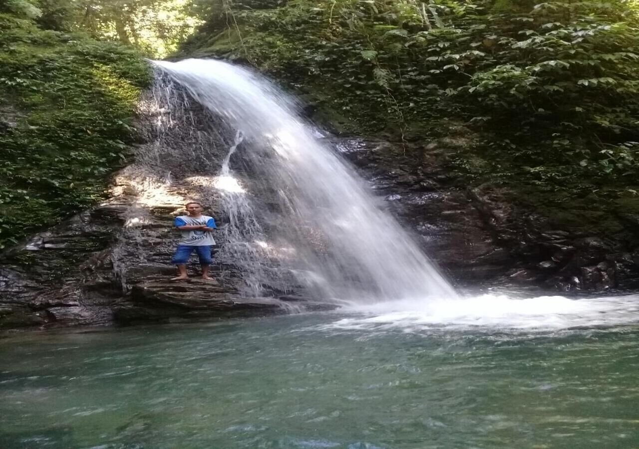 A waterfall in a forested area with clear water.