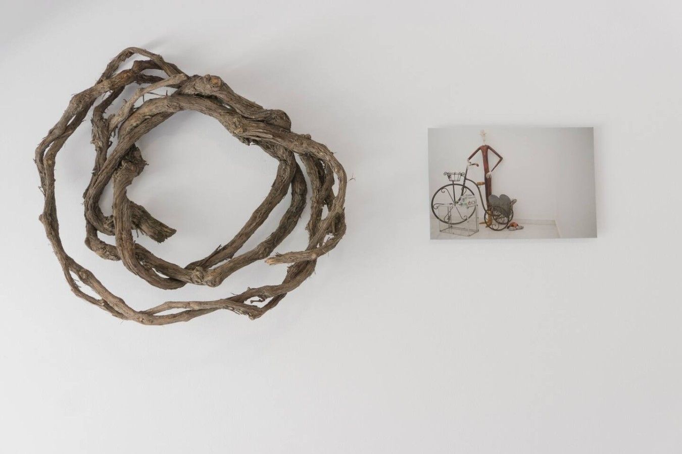 A sculpture of intertwined branches and a framed picture of a bicycle.