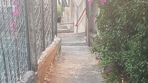 Un sendero estrecho que lleva a una entrada portonada con valla de metal y pared de ladrillo.