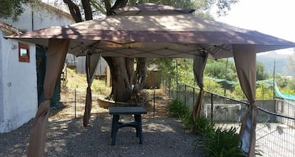 APARTMENT / COTTAGE IN THE CENTER