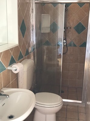Regadera, secadora de cabello, bidet, toallas 