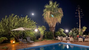 En swimmingpool med liggestole og parasoller, omgivet af palmer og anden beplantning, under en nattehimmel.