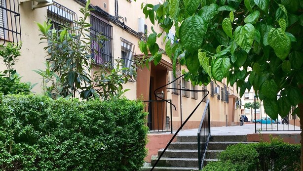 A narrow pathway flanked by lush greenery and a building with balconies and an air conditioning unit.