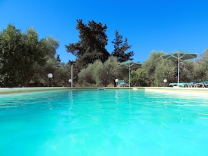A clear blue pool with lounge chairs and umbrellas, surrounded by trees.