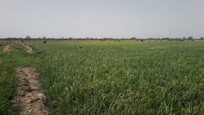 المنطقة المحيطة بالمنشأة