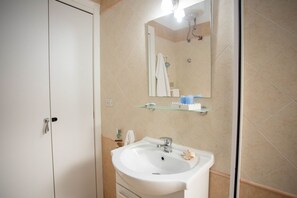Regadera, secadora de cabello, bidet 