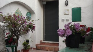 Un patio con plantas en macetas y una puerta.