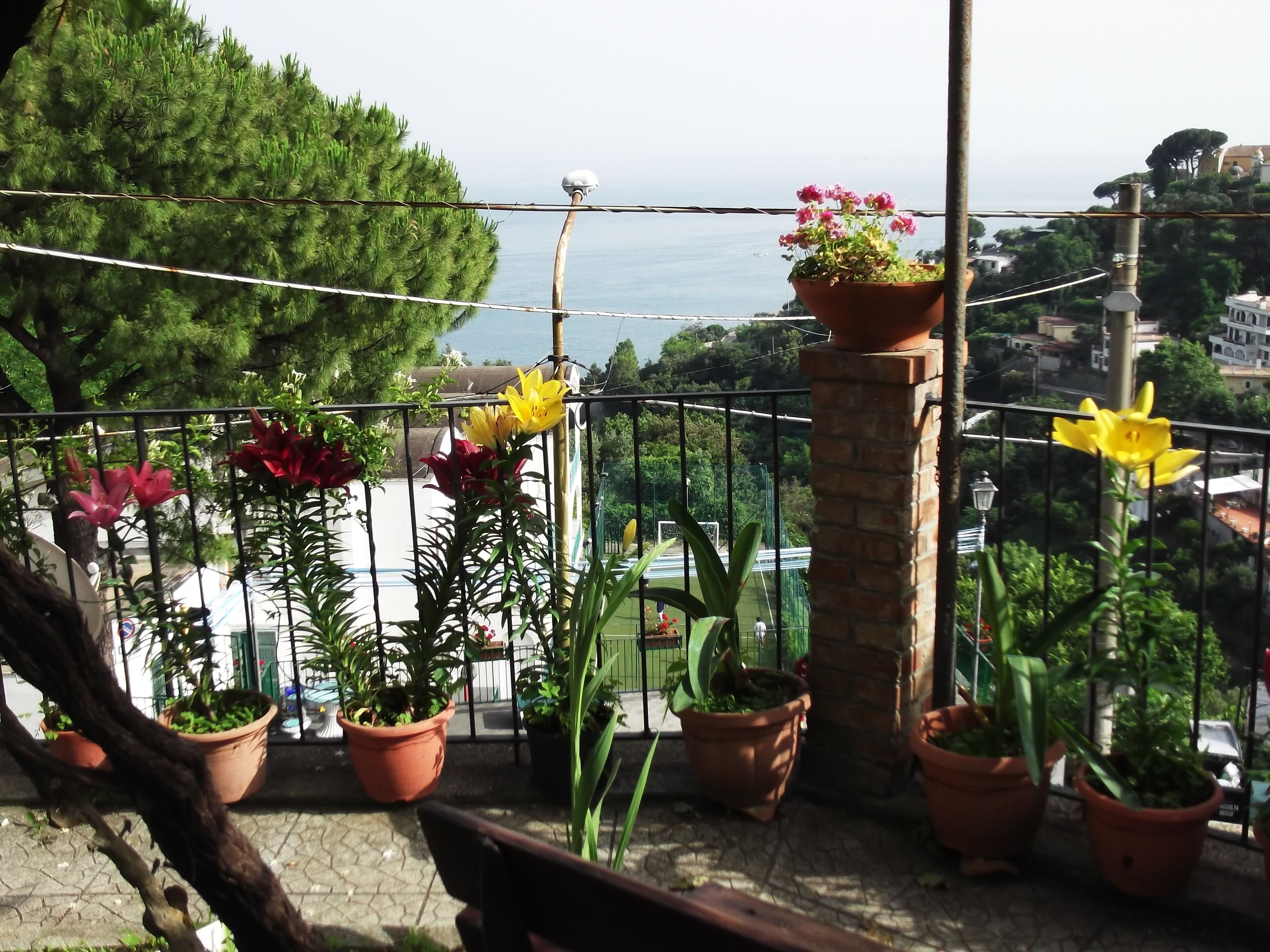 Parco della struttura