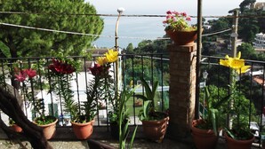 Un balcón con macetas y flores, con vistas a un cuerpo de agua y edificios.