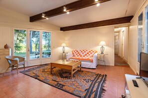 Televisio, takka, pöytätennispöytä, kirjoja