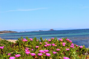 A coastal landscape with pink flowers in the foreground and a clear view of the sea and distant mountains. - Apartment in the green (Santa Margherita di Pula)