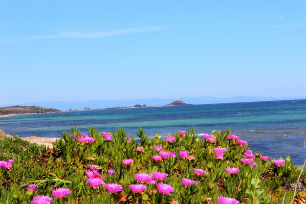 Playa en los alrededores