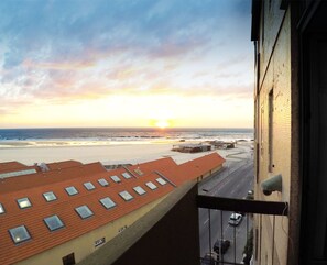 Property grounds - João beach house with sea view (Leça da palmeira)