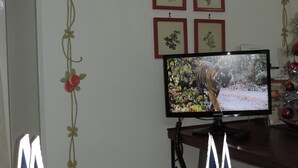 A room with a television displaying a tiger, framed botanical prints, and a decorative garland. - Isolated on hill, flat with private terrace among romanesque art,quiet,nature. (Cocconato)