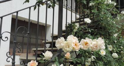 Isolated on hill, flat with private terrace among romanesque art,quiet,nature.