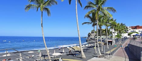 A beach with palm trees, a wooden boardwalk, and a view of the ocean.