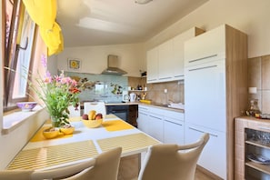 Fridge, microwave, oven, dishwasher - House Martina (Sutivanac)