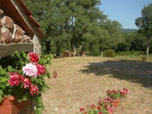 Parco della struttura