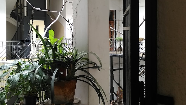 Un balcon orné de plantes en pot, doté d’une rambarde en métal, et offrant une vue sur un immeuble avec un escalier.