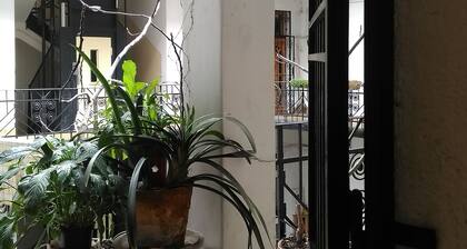 perfect location in the center, full service during your stay, perfectly clean