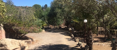 A pathway surrounded by trees and rocks, leading to a stone wall.