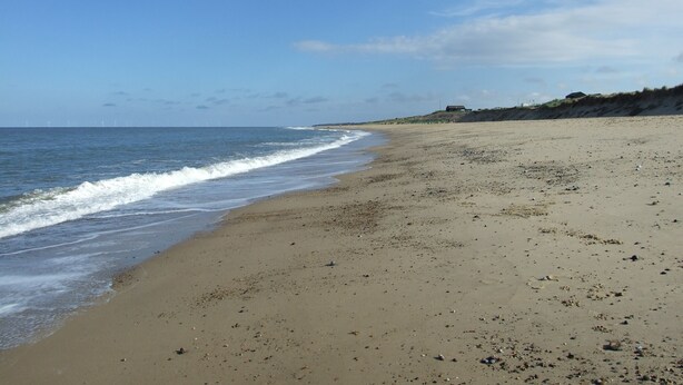 Strand