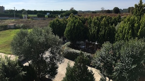 Ein Blick auf einen Park mit Bäumen und einem Basketballplatz.
