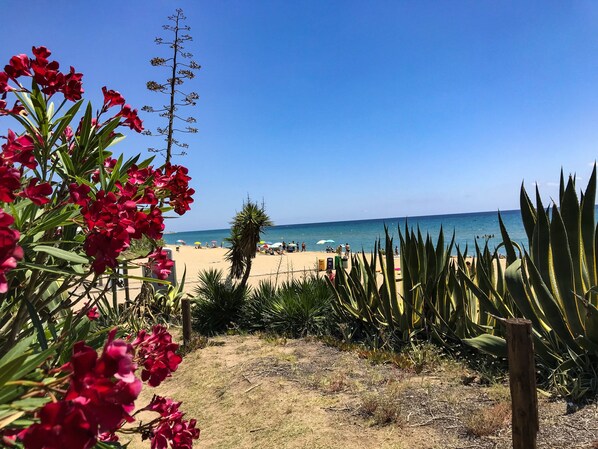 Ubicación cercana a la playa, tumbonas y toallas de playa