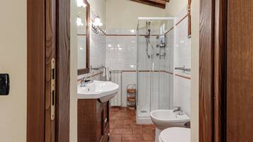Shower, hair dryer, bidet, towels