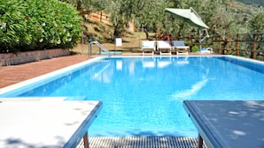 Una piscina azul cristalina con sillas de descanso y una terraza de madera.