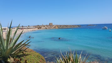 Tumbonas y toallas de playa