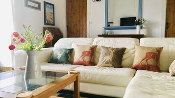 Televisie, een open haard, een dvd-speler en tafelvoetbal