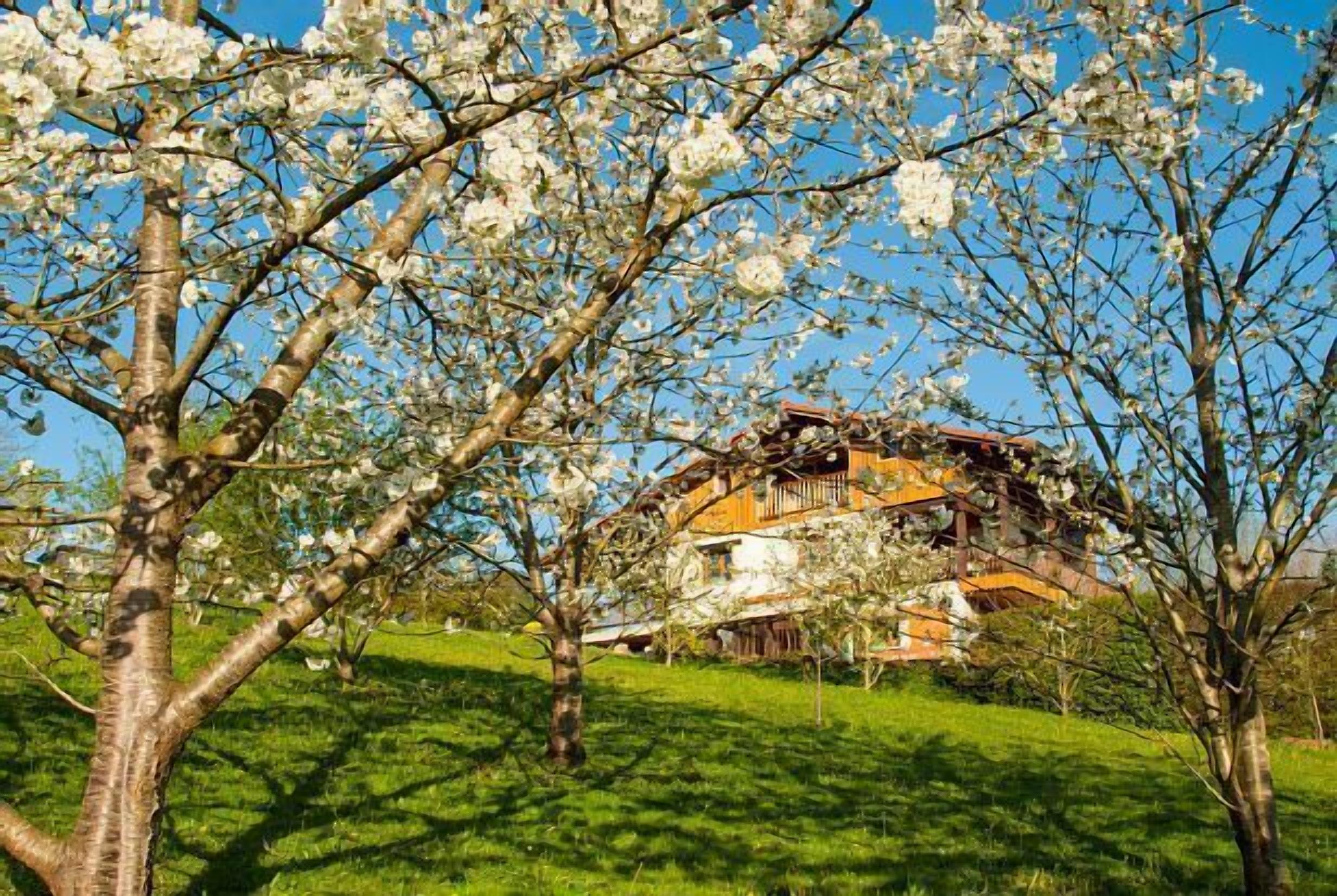 Self catering Artesoro Baserria for 8 people