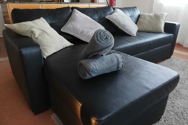 Televisión, chimenea, reproductor de DVD, libros