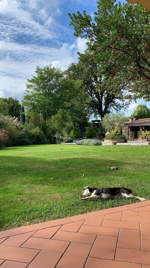 Property grounds