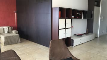 TV, fireplace, DVD player, books