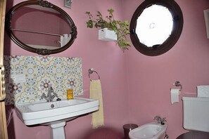 Combined shower/tub, hair dryer, bidet, towels