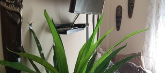 Goed vertrokken globaal paradijs