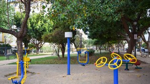 Outdoor exercise equipment in a park with trees and a paved path.