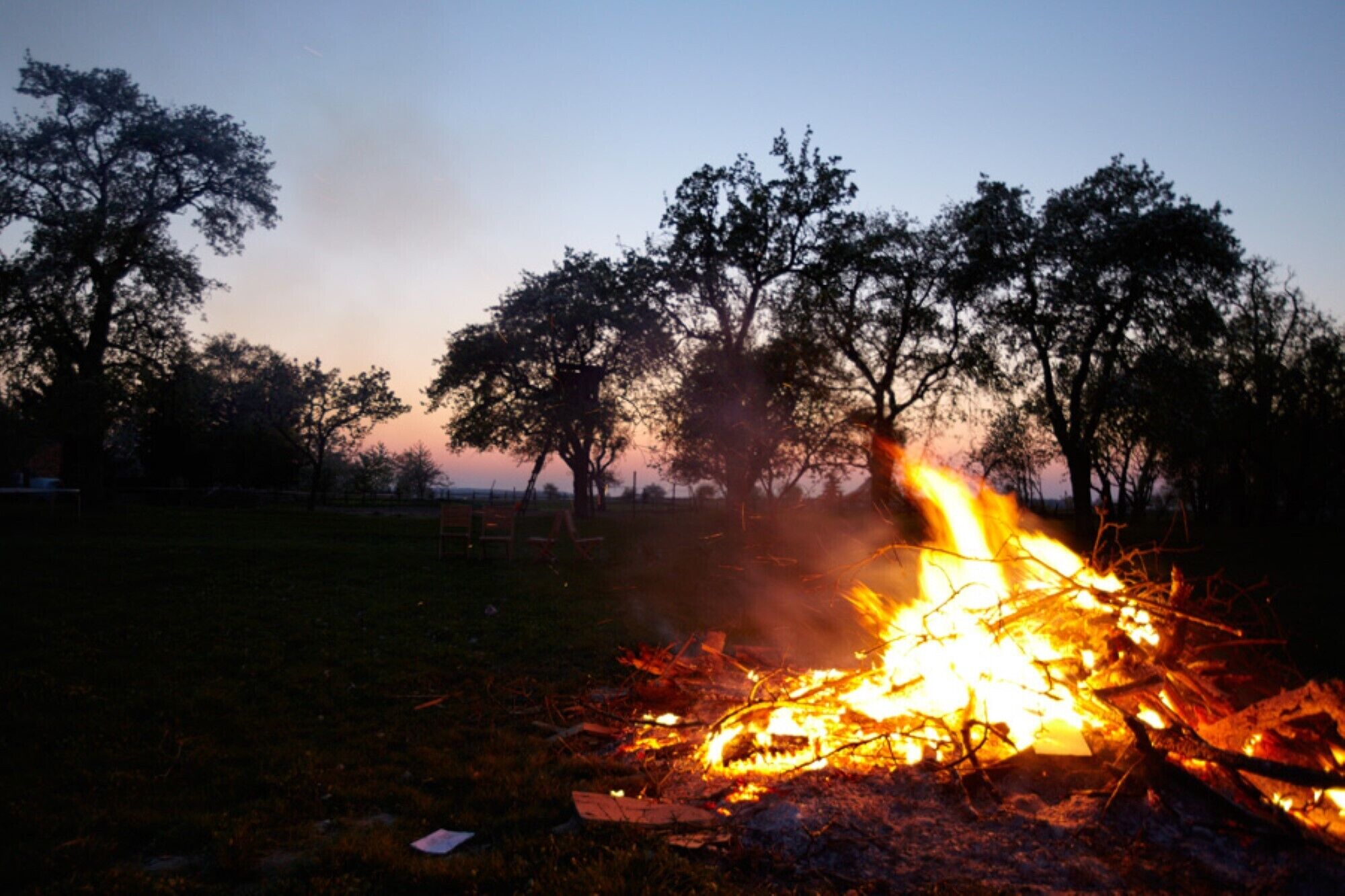 A campfire in a grassy field with trees in the background.