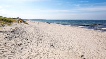 Plage, chaises longues