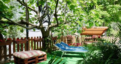 Traulivi villa with pool