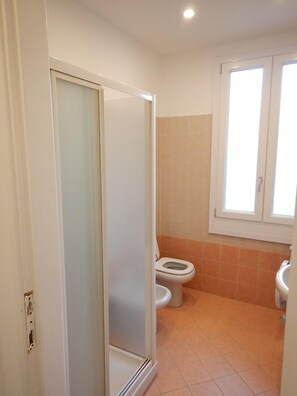 Shower, hair dryer, bidet, towels