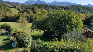 Een landelijk landschap met een opvallende boom op de voorgrond, glooiende heuvels en verafgelegen bergen.