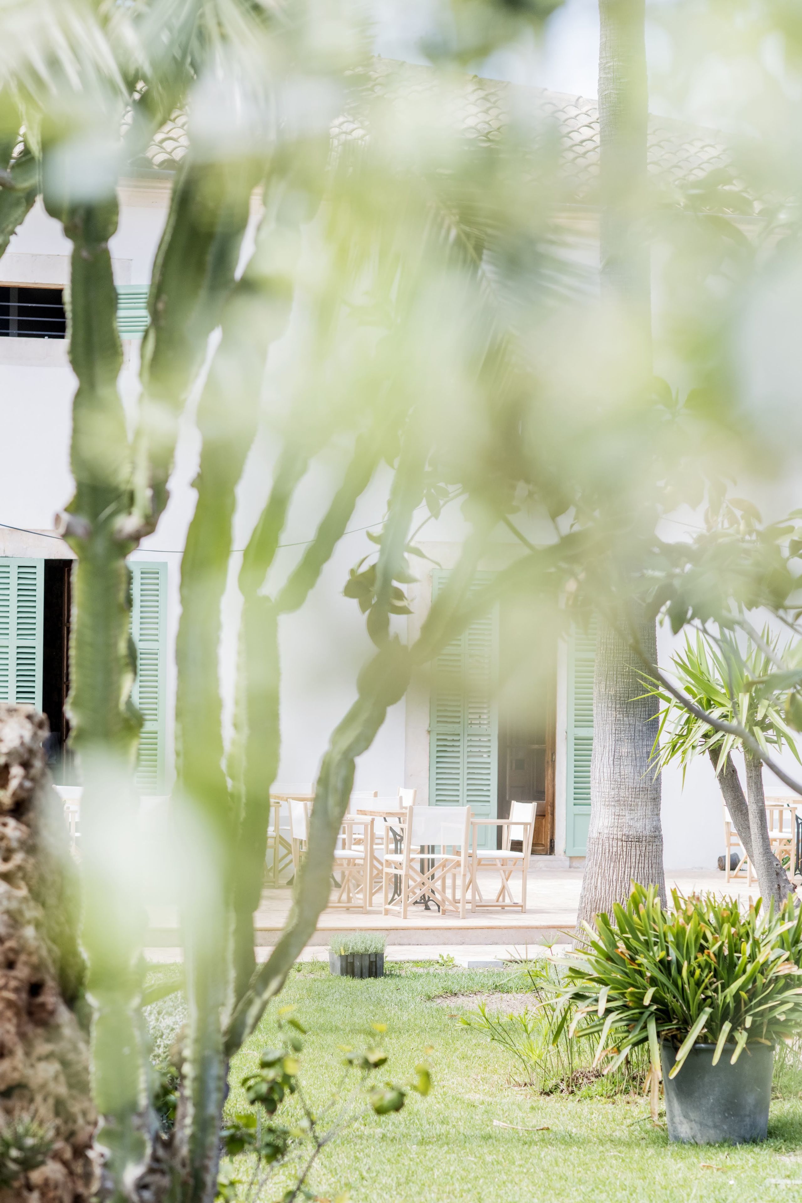 Foto - Curolla Petit Hotel