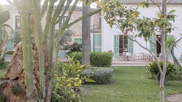 Relax in a serene courtyard surrounded by lush plants and a charming Mediterranean-style building with a dining area.