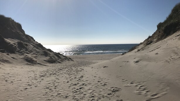 Una playa arenosa con huellas que se adentran en el océano, rodeada de dunas cubiertas de hierba.